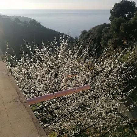 Monaco' Hills