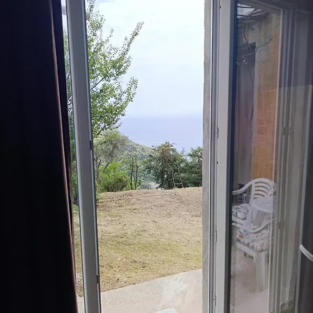 Проживание в семье Monaco' Hills *